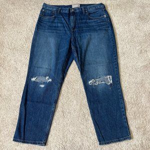 Everlane The Summer Jeans Size 33 Regular Distressed Medium Wash Organic Cotton